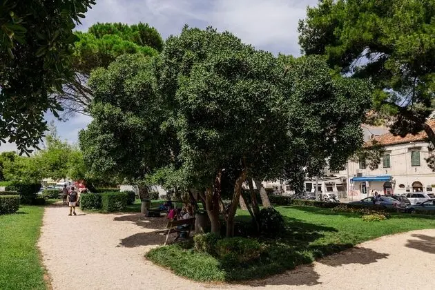 Tek Büyük Yataklı Oda (Double Room)