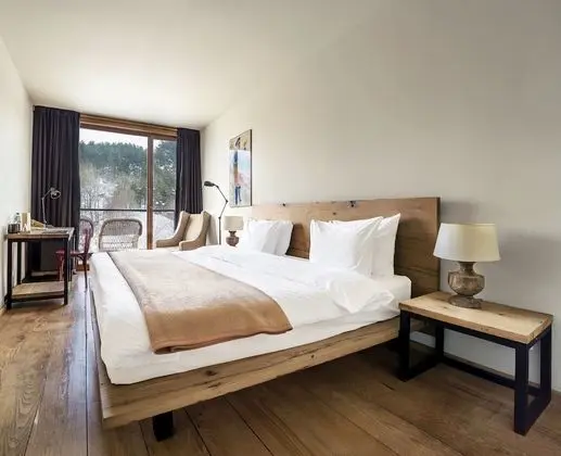 Tek Büyük Yataklı Oda (Forest View)