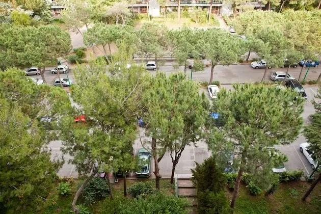 Standard Tek Büyük Yataklı Oda, Ortak Banyo