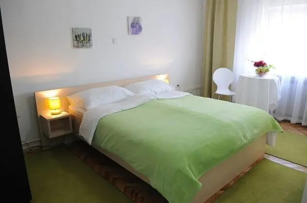 Deluxe Tek Büyük Yataklı Oda, 1 Çift Kişilik Yatak (1)