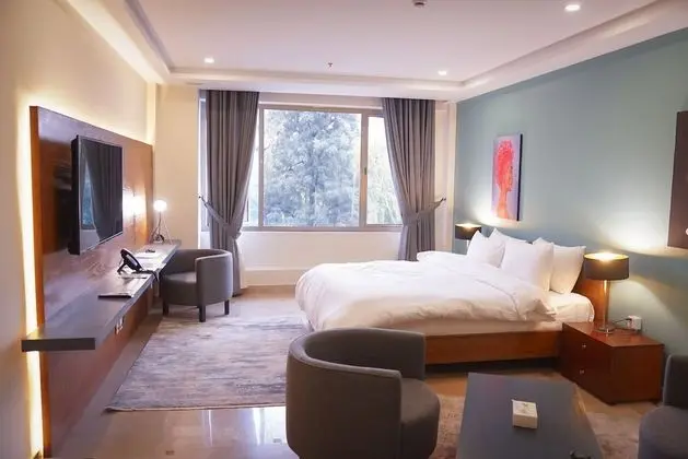Deluxe Tek Büyük Yataklı Oda