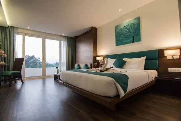 Executive Oda, 1 Çift Kişilik Yatak, Şehir Manzaralı
