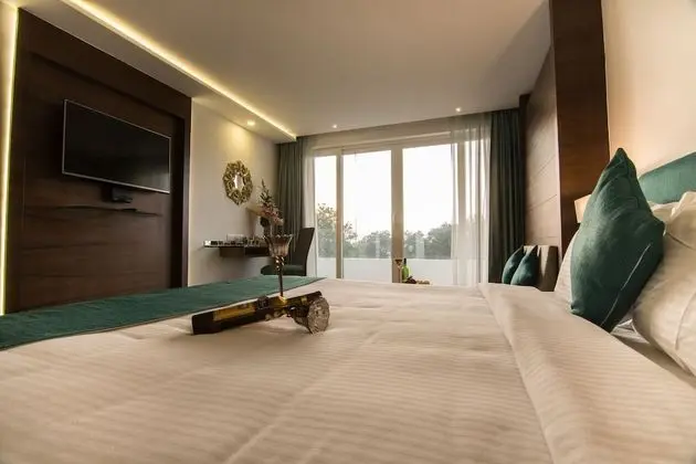 Executive Oda, 1 Çift Kişilik Yatak, Şehir Manzaralı