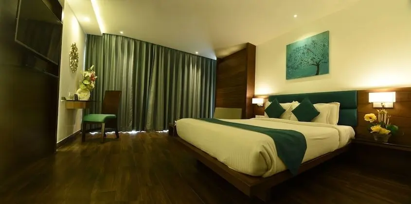 Executive Oda, 1 Çift Kişilik Yatak, Şehir Manzaralı