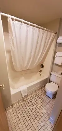 Standard Tek Büyük Yataklı Oda, 2 Büyük (Queen) Boy Yatak