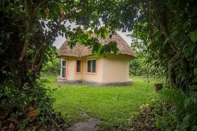 Bungalov, 1 Yatak Odası