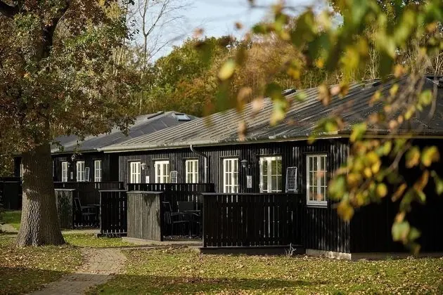 Luxury Kır Evi, 2 Yatak Odası, Mutfak, Bahçeli