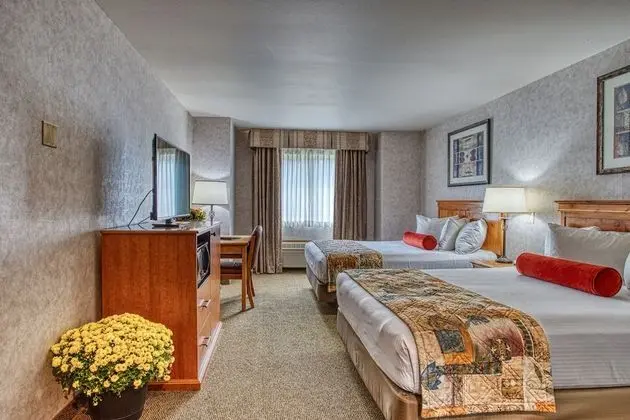 Standard Oda, 2 Büyük (Queen) Boy Yatak, Muhtelif Manzaralı