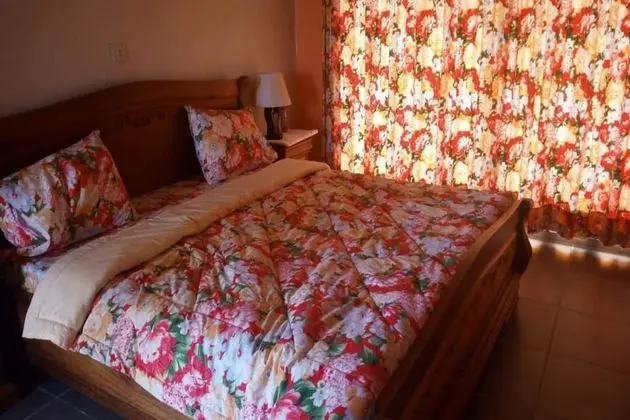 Tek Büyük Yataklı Oda, 1 Büyük (Queen) Boy Yatak, Sigara İçilmez