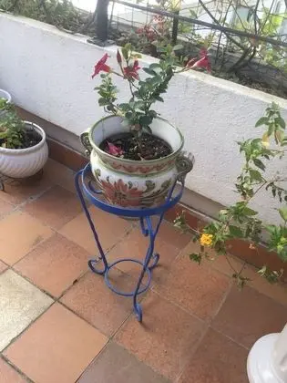 Comfort Çatı Katı (Loft), 1 Yatak Odası, Bağlantılı Odalar, Bahçe Manzaralı (Jaune)