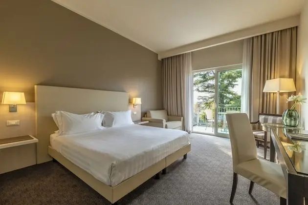 Superior Tek Büyük Yataklı Oda, Balkon