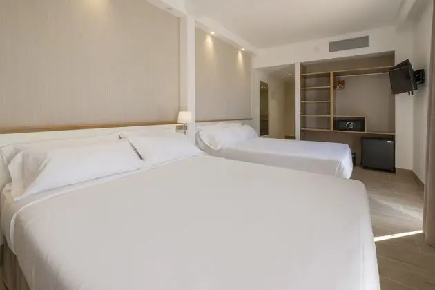 Standard Tek Büyük Yataklı Oda, 1 Büyük (Queen) Boy Yatak ve Çekyat