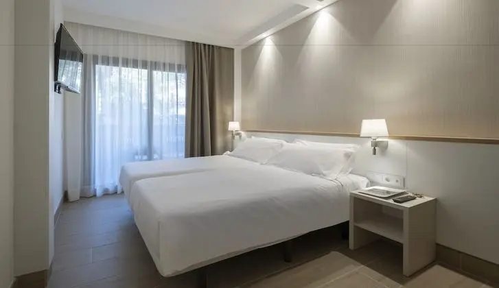 Standard Tek Büyük Yataklı Oda, 1 Büyük (Queen) Boy Yatak ve Çekyat