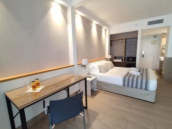 Standard Tek Büyük Yataklı Oda, 1 Yatak Odası