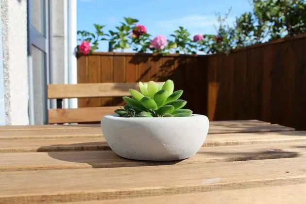Apart Daire, 1 Yatak Odası, Balkon