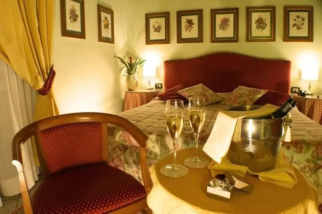 Superior Tek Büyük veya İki Ayrı Yataklı Oda