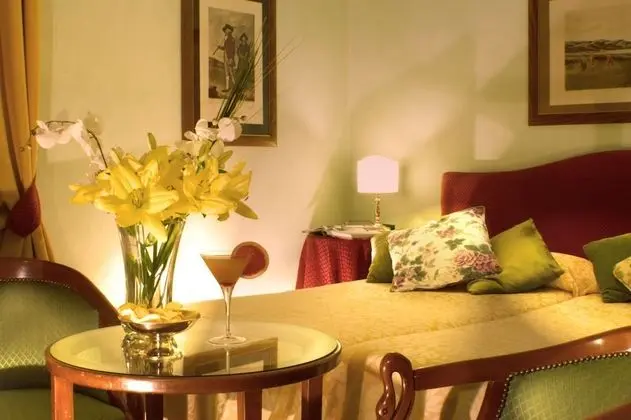 Superior Tek Büyük veya İki Ayrı Yataklı Oda