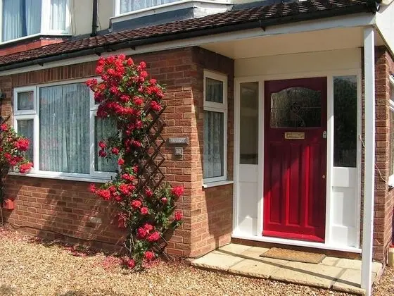 Standard Tek Kişilik Oda, Banyolu/Duşlu (Garden Room)