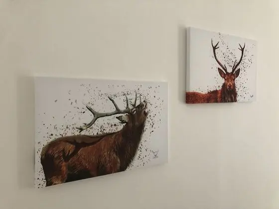 Apart Daire, Birden Çok Yatak