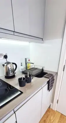 Executive Apart Daire, Özel Banyo, Nehir Manzaralı (Penthouse)