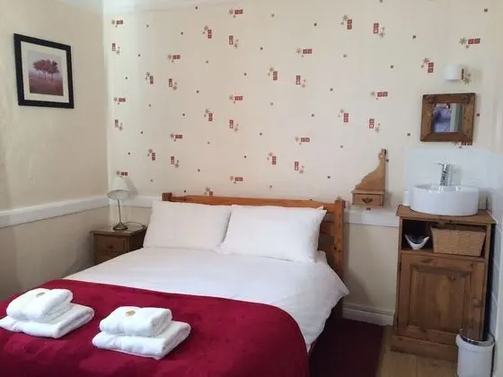 Classic Tek Büyük Yataklı Oda, Banyolu/Duşlu (Room 1)
