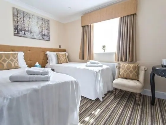 Premium Tek Büyük veya İki Ayrı Yataklı Oda, Banyolu/Duşlu