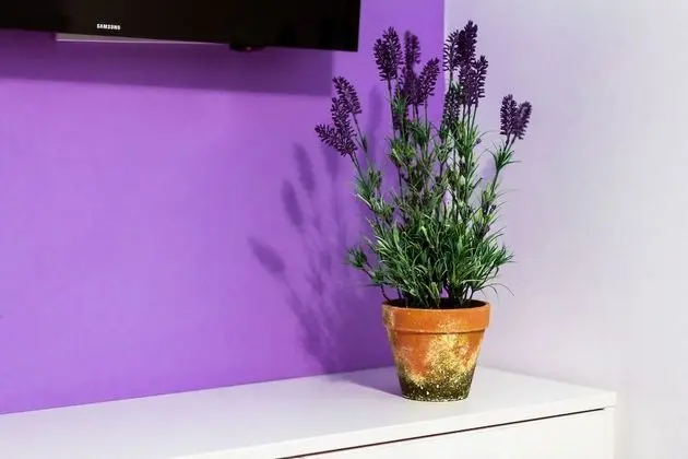 Comfort Stüdyo, 1 En Büyük (King) Boy Yatak, Sigara İçilmez
