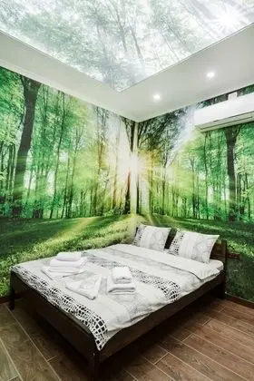 Comfort Stüdyo, 1 En Büyük (King) Boy Yatak, Sigara İçilmez
