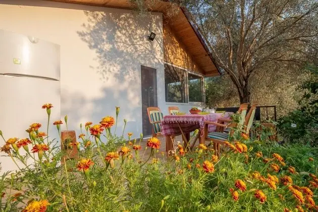 Villa,dağ Manzaralı,giriş Katı