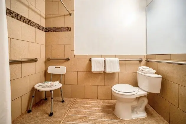 Standard Oda, 1 En Büyük (King) Boy Yatak, Engellilere Uygun