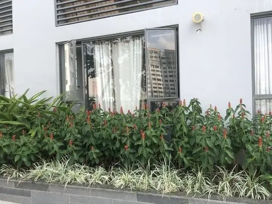 Deluxe Tek Büyük Yataklı Oda, Şehir Manzaralı