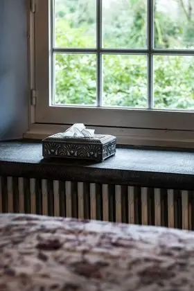 Deluxe Stüdyo