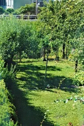 Comfort Apart Daire, 2 Tek Kişilik Yatak, Bahçe Manzaralı