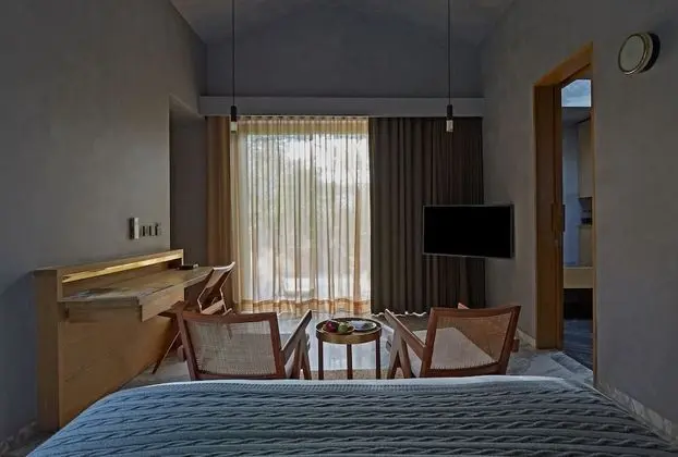 Premier Villa, 1 En Büyük (King) Boy Yatak, Sigara İçilmez