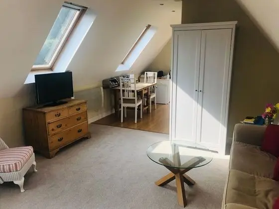 Tek Büyük Yataklı Oda (Junior Suite)