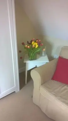 Tek Büyük Yataklı Oda (Junior Suite)