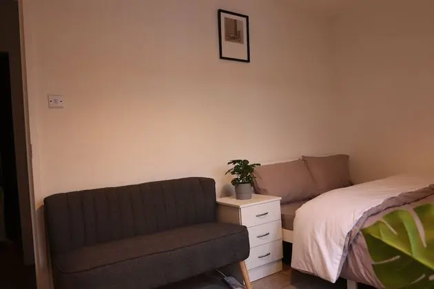 Standard Tek Büyük Yataklı Oda, Ortak Banyo (Room 1)