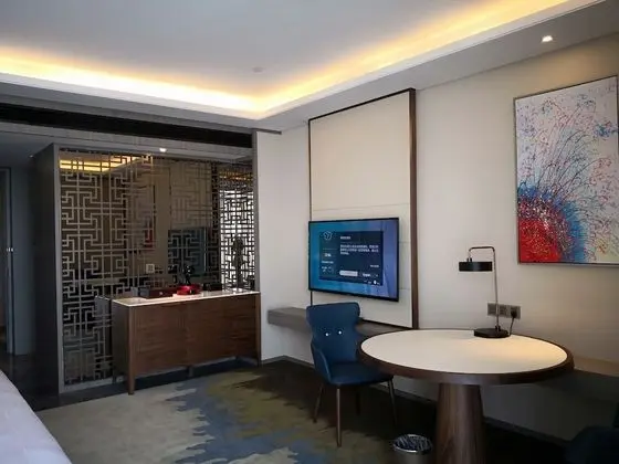 Executive Tek Büyük Yataklı Oda