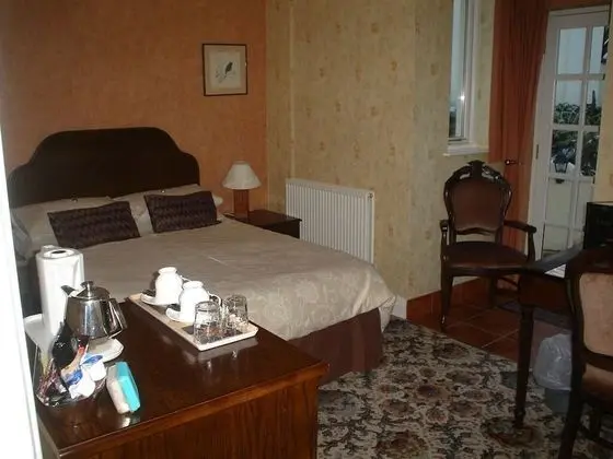 Tek Büyük Yataklı Oda, Banyolu/Duşlu (With Patio)