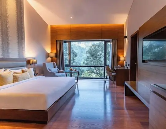 Deluxe Oda, Balkon, Göl Manzaralı
