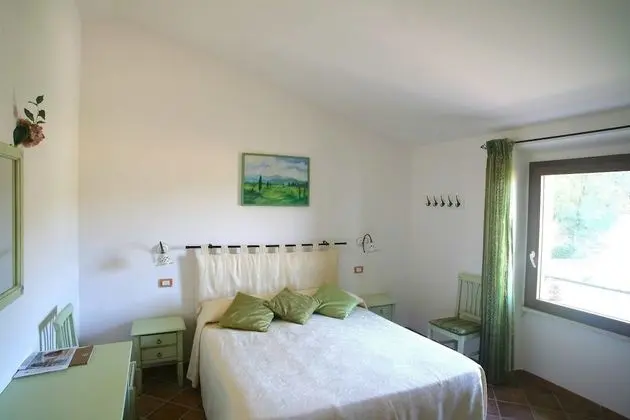 Standard Tek Büyük Yataklı Oda (Ortensia)