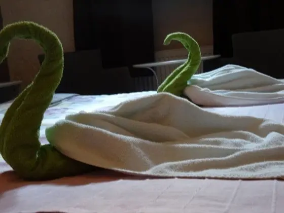 Standard Tek Büyük Yataklı Oda, 1 Çift Kişilik Yatak, Özel Banyo, Şehir Manzaralı