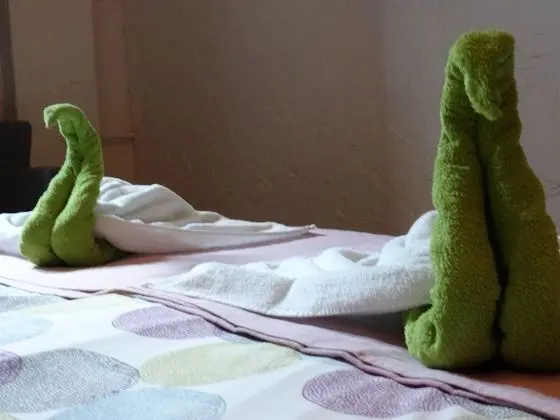 Standard Tek Büyük Yataklı Oda, 1 Çift Kişilik Yatak, Özel Banyo, Şehir Manzaralı