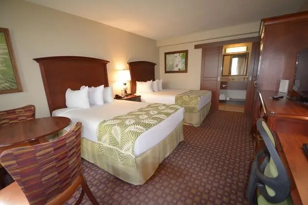 Deluxe Oda, 2 Çift Kişilik Yatak, Sigara İçilmez