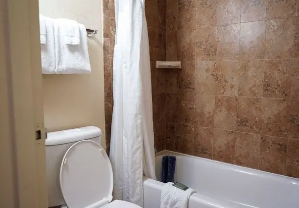 Deluxe Oda, 2 Çift Kişilik Yatak, Sigara İçilmez