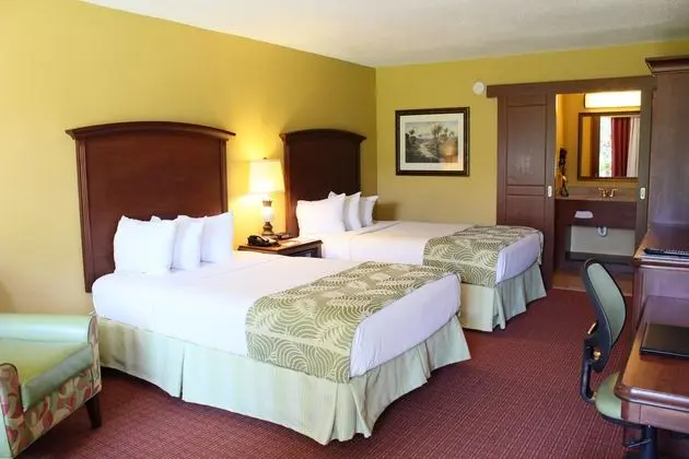 1 Çift ​​kişilik Yatak Guest Room