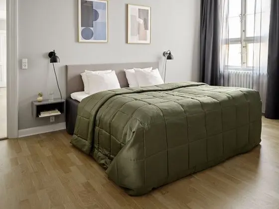 Apart Daire, 2 Yatak Odası (Elevator access)