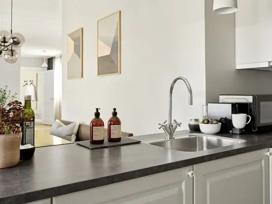 Apart Daire, 2 Yatak Odası (Elevator access)