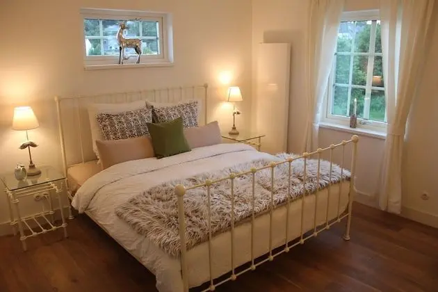 Tek Büyük Yataklı Oda, Özel Banyo (Master Suite )