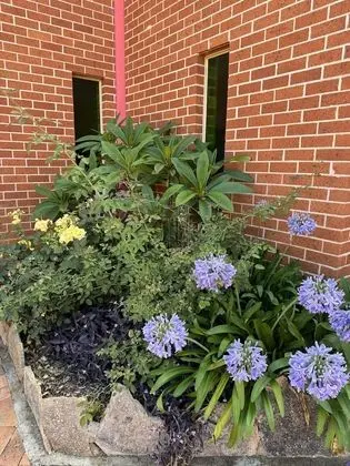 Sıra Ev, 1 Yatak Odası